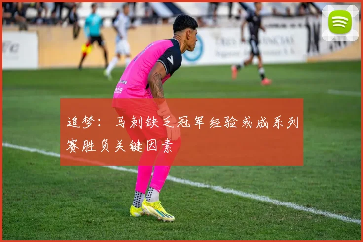 追梦：马刺缺乏冠军经验或成系列赛胜负关键因素