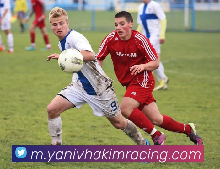 奖项证书